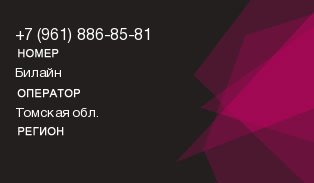 9618868581
